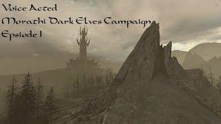 Voice Acted Morathi Dark Elves Campaign #1 - Total War : Warhammer 2 : Time to start a war!!