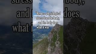 Law Of Attraction Quotes Speech 0114