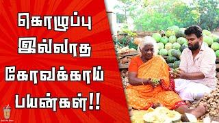 Kovakkai payankal | கோவக்காய் சமைக்க சொல்லித்தரும் Owner ஆயா | Theneer Idaivelai