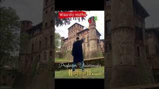 Wizardly Maths Professor  Uselessmaths  #hogwarts #wizard #harrypotter #jkrowling #piovera #castello