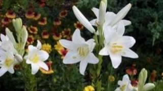 James Last - Spring