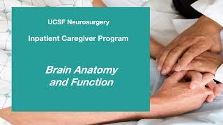 Brain Anatomy and Functions - UCSF Neurosurgery