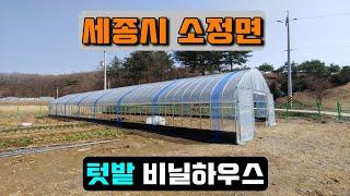 텃밭 비닐하우스 (세종시 소정면) crop cultivation vinyl house