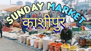 Kashipur Kundeshwari Uttarakhand Sun Day Market ||Secrets of Kashipur Kundeshwari Market Revealed ||