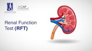 Renal Function Test (RFT)