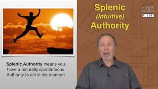 SPLENIC AUTHORITY by Richard Beaumont - PREVIEW