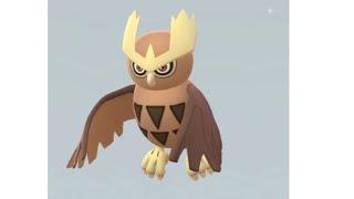 PokemonGo || Evolution || Pokemon || Hoothoot || Noctowl owl Pokemon