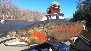 Steelhead BOBBER DOWN Action! (MULTIPLE GIANT STEELHEAD)