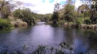 How Mzima Springs looks like, Tsavo West National Park, Kenya #wetlands