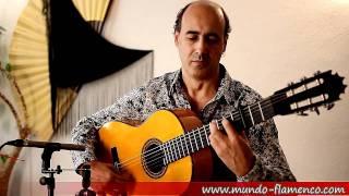 Flamenco Guitar Bulerías 4