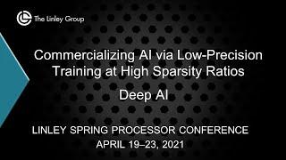 Deep AI:  Commercializing AI via Low-Precision Training at High Sparsity Ratios