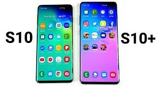 Why Galaxy S10 is better than S10 Plus!