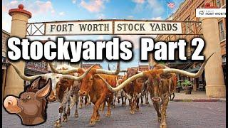 Cowboys, Cattle & Chaos: Fort Worth Stockyards Adventure (Part 2)