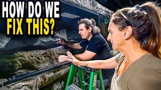 Crew Reacts To Our $100,000 Giant Reptile Tank!