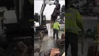 The Moment of Construction Failure at OSHA #adamrose #construction #moments #shorts