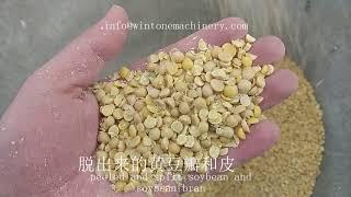 黄豆脱皮 DTP破瓣机  Soybean peeling machine, Soya bean split machine