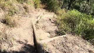 Mount Heaton // Watagans hike. (24/12/2024)