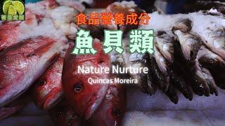 食品營養成分：魚貝類 Nature Nurture - Quincas Moreira 版本：20240523