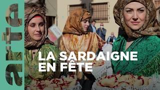 La soie de mer, trésor de Sardaigne | GEO Reportage | ARTE Family