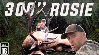 300 inch Roosevelt Elk Called into 7 yards! (Oregon Bowhunting)