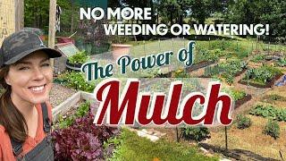 Why to Mulch and Best Natural Mulches