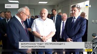 Экономика Беларуси падает. Лукашенко ужесточает репрессии