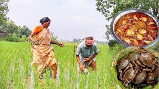 santali old couple collect country crab in field and cooking for their lunch