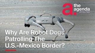 What's the Deal With Robot Dogs at the U.S.-Mexico Border? | The Agenda