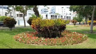 LIMA. Parque Belén (San Isidro) 