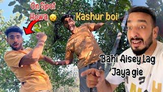 Apple picking Karwayie Kashur Boi Sey | Wanitalks