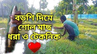 বড়শি দিয়ে শোল মাছ ধরার বিভিন্ন কৌশল।।