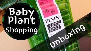 식물 언박싱 /새로운 식물 쇼핑 / Plant Shopping Unboxing 2021