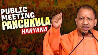 LIVE: UP CM Yogi Adityanath Addresses Public Meeting in Panchkula | Haryana | BJP |Assembly Election