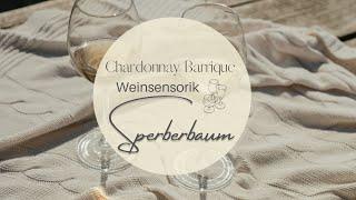 Weinsensorik Chardonnay Barrique Sperberbaum Lagenwein