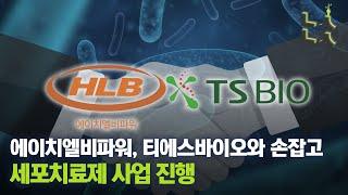 [남산뉴스] 에이치엘비파워, 최대주주 티에스바이오로 변경 소식에 상한가 직행