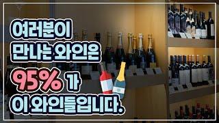 "핵심만 딱!!" 와인 마실 때, 가장 많이 보이는 와인 품종 BEST 12 (와인 품종 속성 정리)