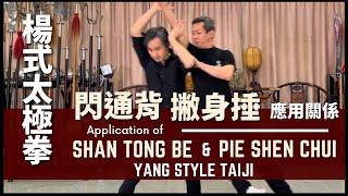 Yang Style Taiji Application of Shan Tong Bei & Pie Shen Chui 楊式太極拳- 閃通背 撇身捶 應用關係