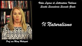 IL NATURALISMO (con Emile Zola) - Video lezione #3 - Letteratura Italiana Scuola Superiore