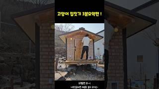 마당에 고양이 집짓기~!  #길냥이 #길고양이 #cat