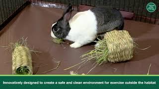 Oxbow Animal Health - Enriched Life Play Yard Accessories