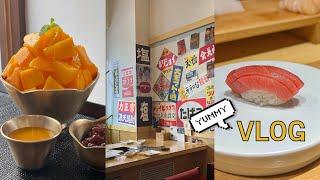 Vlog | Japan Vacay in SEOUL  | Japanese Foodies | Shaved Ice | Soufflé Pancakes | Yakiniku | Sushi