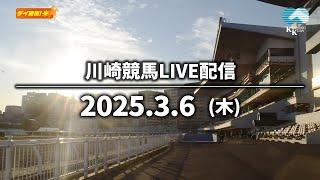 【第13回開催】川崎競馬パドック解説付きLIVE（2025年3月6日）