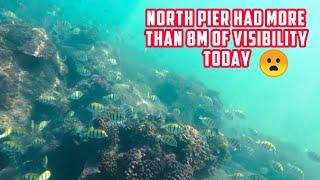 Diving with 8m visability north pier Durban