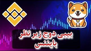 توجه توجه  : بایننس بیبی دوج را زیر نظر دارد | توکن سوزی فوق العاده