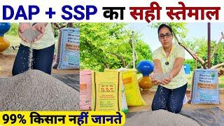 DAP fertilizer और  SSP fertilizer का 4 गुना फायदा कैसे लें | Sarso ki kheti | high power fertilizer