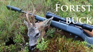 Forest buck. Deer hunting in Scotland by RoeStalker