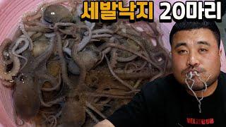 세발낙지 20마리 금어기가 오기전에 먹어봤습니다Raw Octopus Mukbang Eatingshow