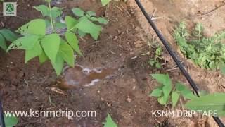 KSNM Drip - Suitable for all types of crops