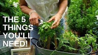 Planting Herbs in One Container: Rosemary, Sage, Basil, Oregano, Thyme, Dill, & Parsley