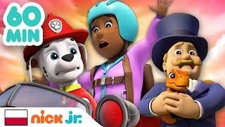 Psi Patrol | Godzina akcji ratunkowych z udziałem burmistrzów! | Nick Jr.